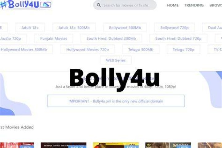 Bolly4u Org 2024: The Ultimate Guide to Streaming Bollywood Movies