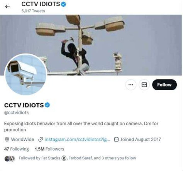 CCTV Idiots: A Hilarious Collection from Twitter