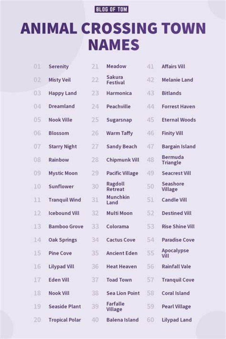Choosing the Perfect Animal Crossing Town Name