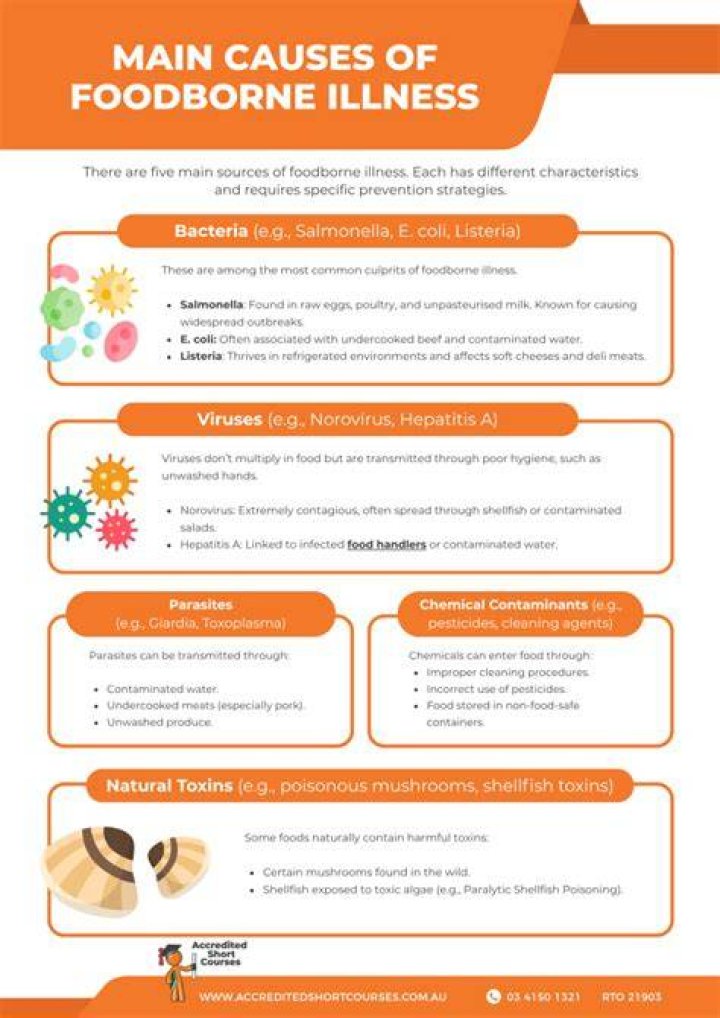 Complete Guide to Common Illnesses: Symptoms, Causes, and Prevention