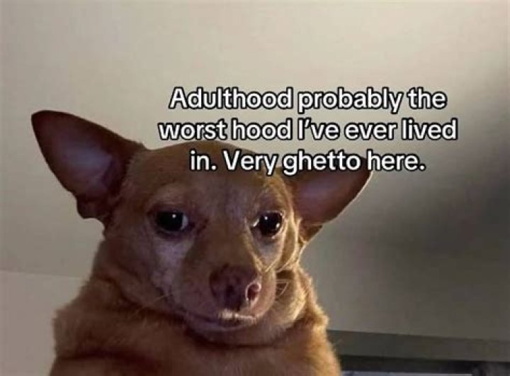 Discover Hilarious Hood Memes for a Good Laugh