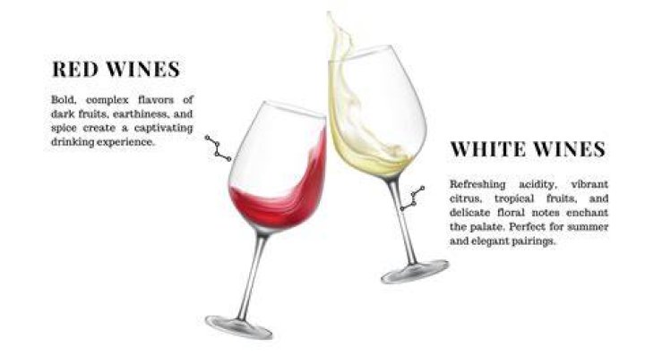 Discover the Distinction: Red vs White Wine