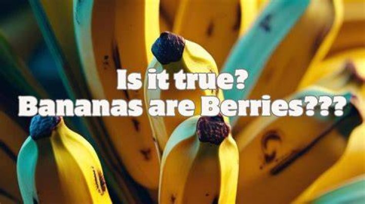 Discover the Surprising Truth: Bananas are True Berries!