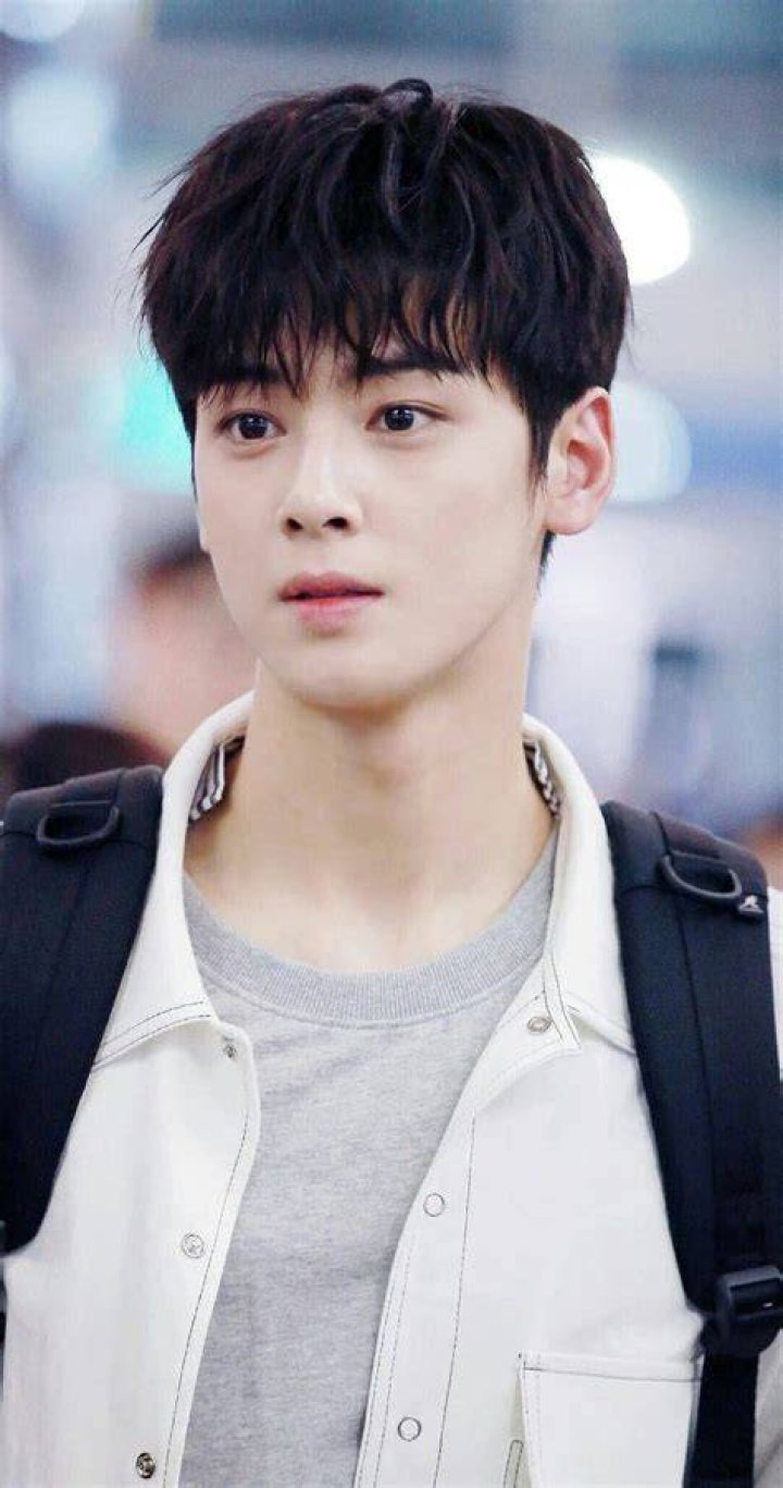 Discovering the Charisma of Cha Eun Woo: The Height of a Star