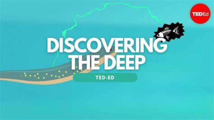 Discovering the Mystery of Katjd: A Deep Dive