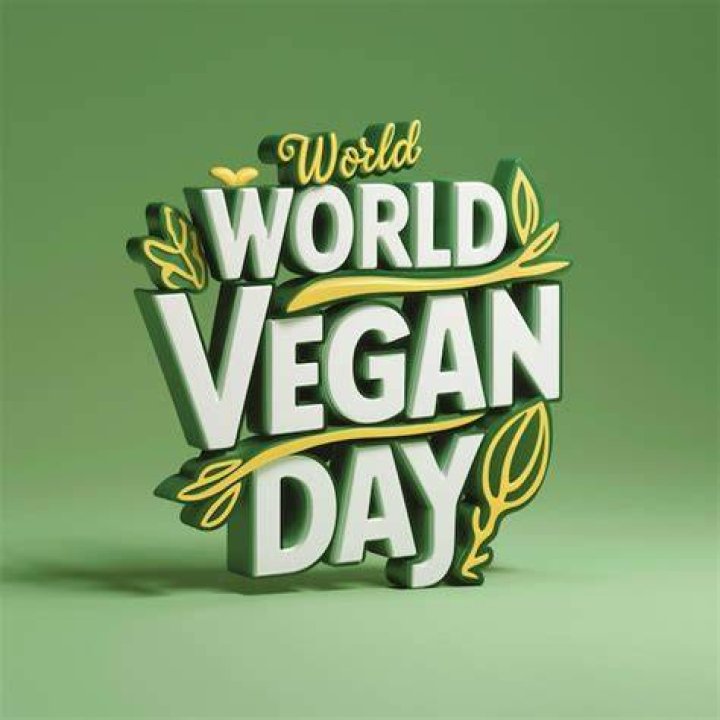 Discovering the World of Vega .ist