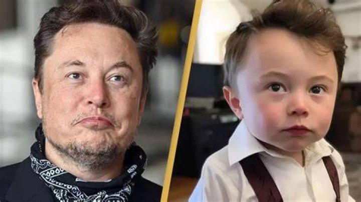 Elon Musk Baby Fur: A Comprehensive Exploration of the Trend and Its Implications