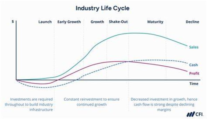 Exploring Mature Videos: Understanding the Industry and Its Implications