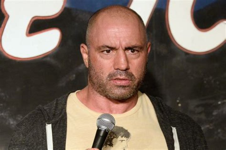 Exploring the Dynamic Exchange: The Joe Rogan Diddy Podcast