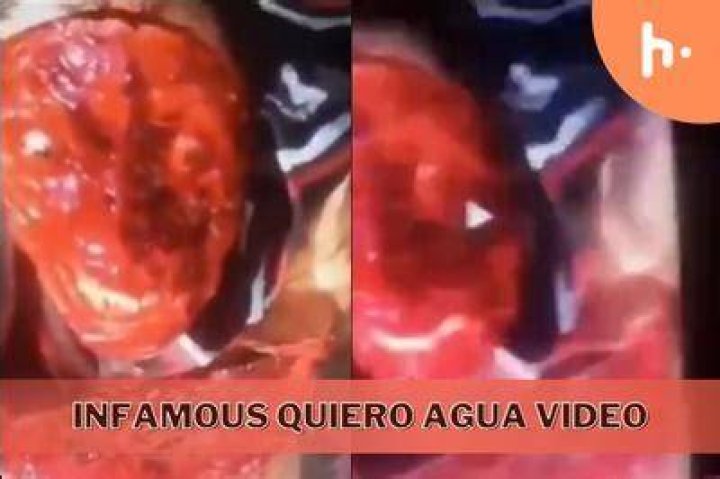Exploring the Enigma of Quiero Agua Video Gore