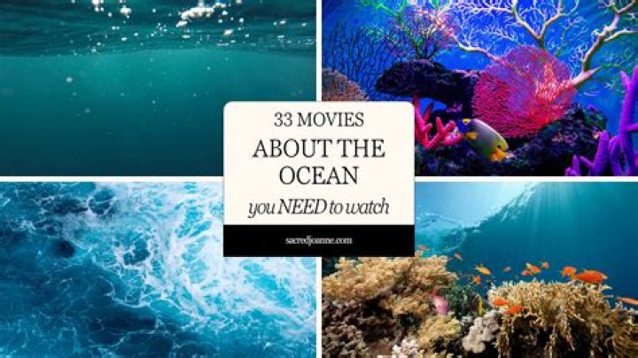 Exploring the Ocean of Movies: A Journey Through Cinematic Wonders