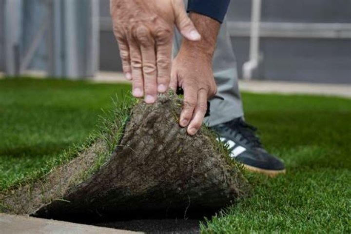 Exploring the Science and Precision Behind the 2026 World Cup Turf