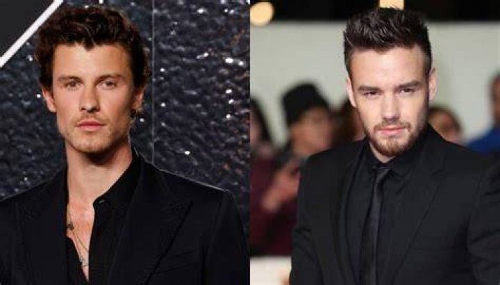 Exploring the Unlikely Connection Between Tom Payne and Liam Payne