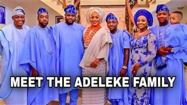 Exploring the Wealth of Adeleke: What is Adeleke Net Worth 2024?