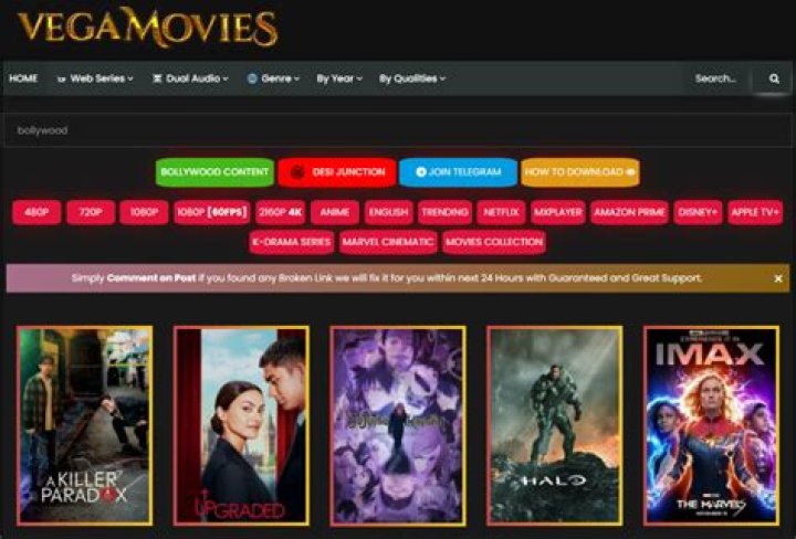 Exploring the World of Movies: The Vegamovies Official Website