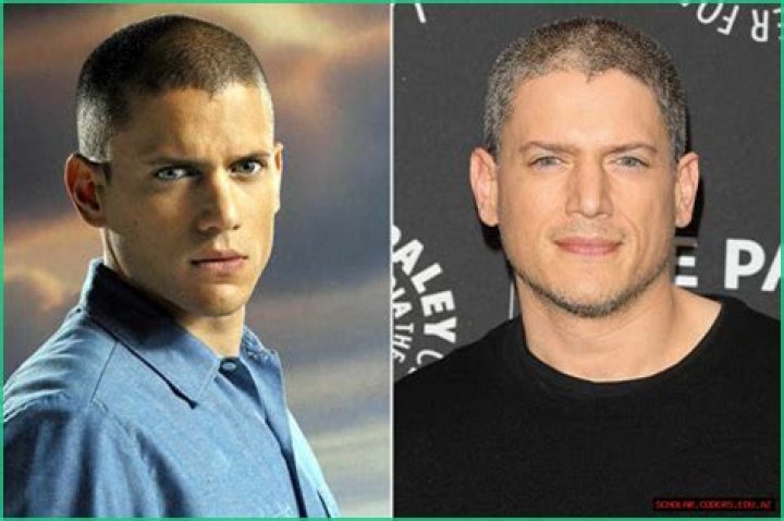 Exploring Wentworth Miller's Partner: Love and Life Beyond the Screen