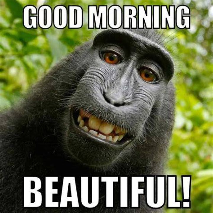 Funny Good Morning Memes: Start Your Day with Laughter