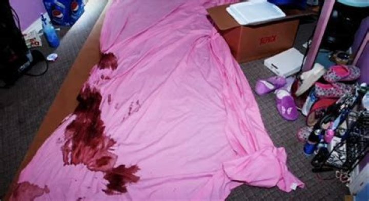 Gypsy Rose Crime Seed Photo: Unraveling the Mystery Behind the Infamous Case
