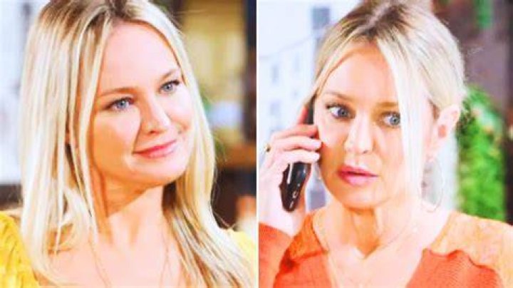 Is Sharon Case Leaving Young and the Restless? The Future of an Iconic Character