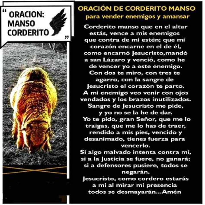 La Poderosa Oración de Cordero Manso: Un Camino hacia la Paz Interior