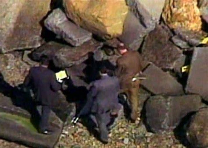 Laci Peterson Body Found: Unraveling the Mystery Behind the Tragic Case