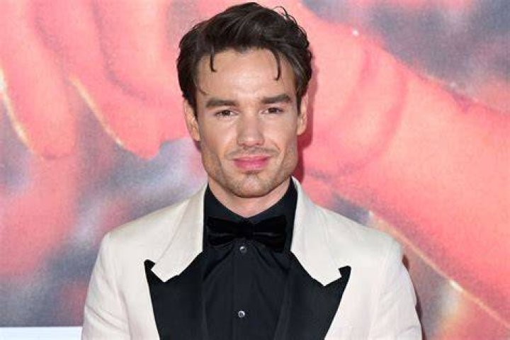 Liam Payne's "Strip That Down": A Deep Dive into the Hit and Its Availability for Download