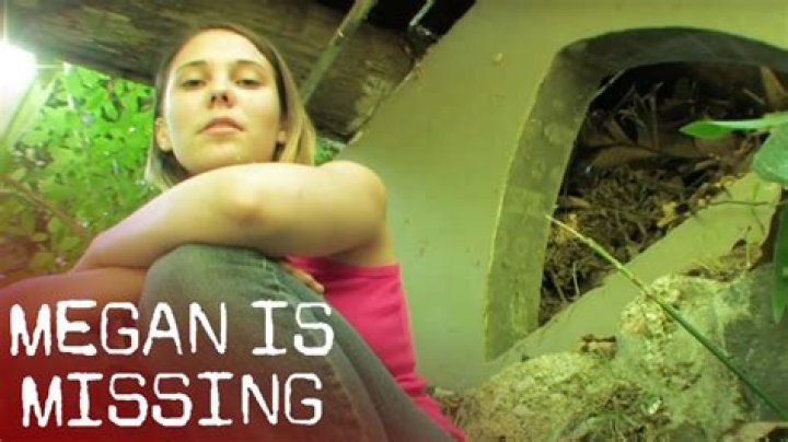 Megan Is Missing: The Real-Life Story of Josh