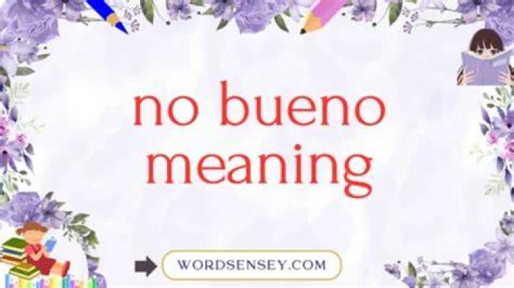 No Bueno: Understanding the Meaning and Usage