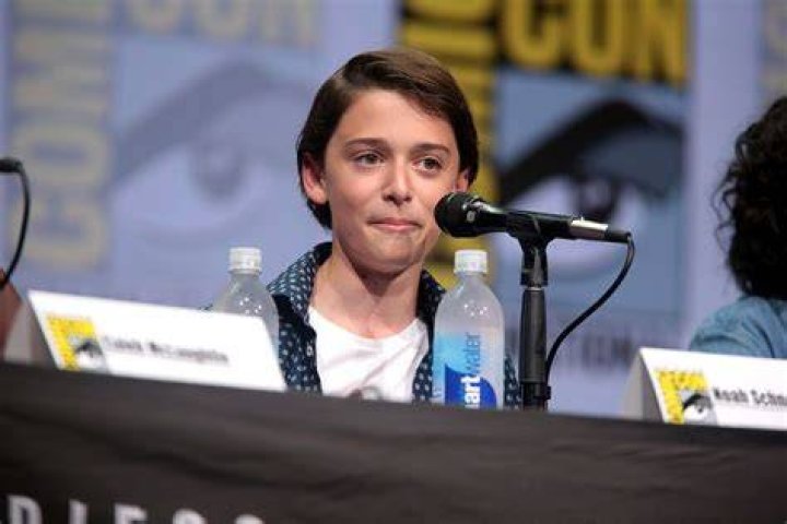 Noah Schnapp: Rising Star of the Entertainment World