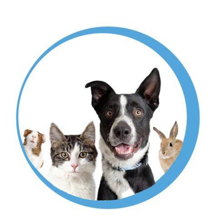 Oshkosh Animal Shelter: A Haven for Furry Friends in Oshkosh, WI