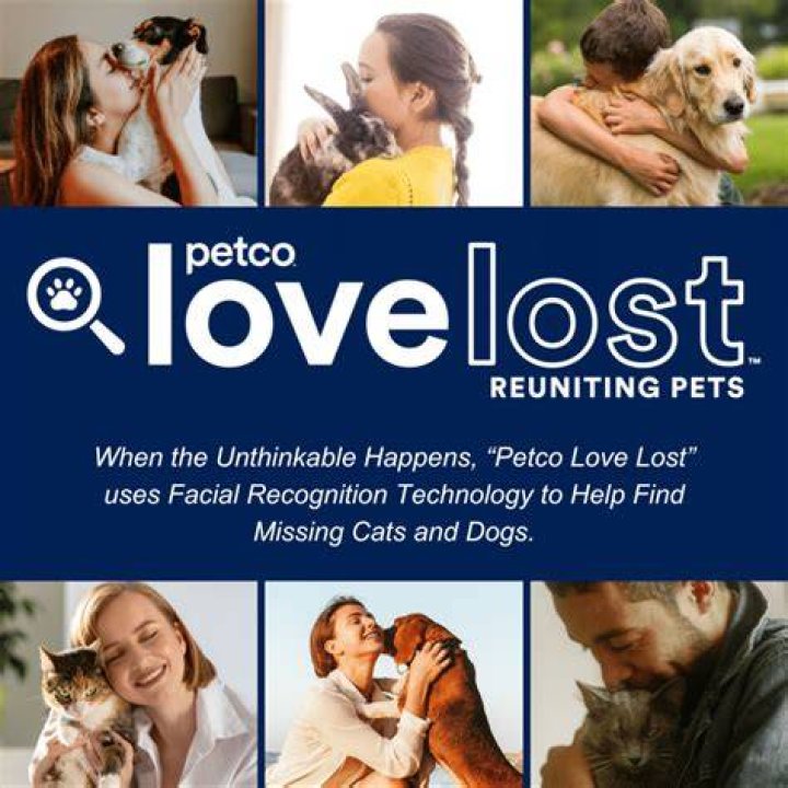 Petco Love Lost: Your Ultimate Guide to Finding Lost Pets