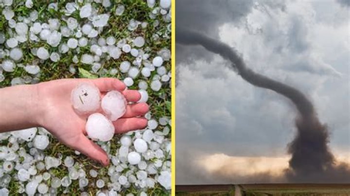 Purple Hail Storm: A Natural Wonder and Its Mysteries