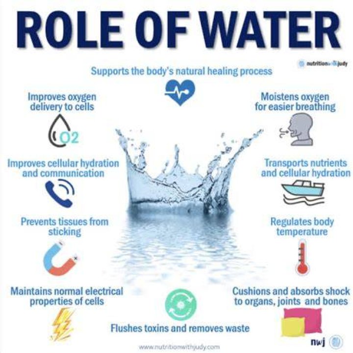 Quiero Agua Seegore: Understanding the Importance of Water in Our Lives