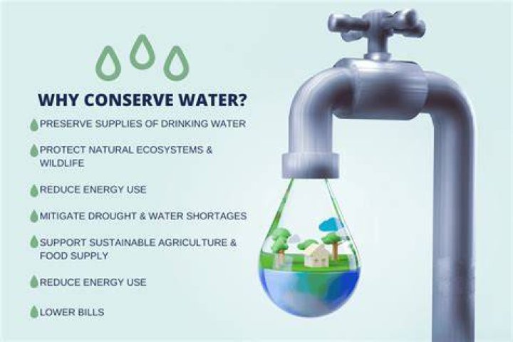 Quiero Aqua: The Ultimate Guide to Water Conservation and Its Importance