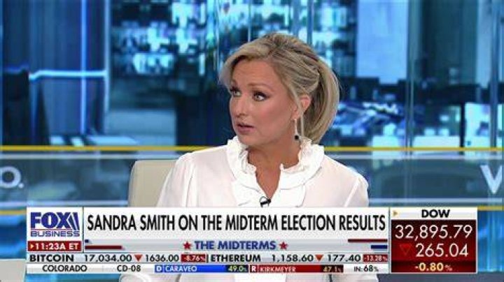 Sandra Smith and Her Political Party: A Deep Dive