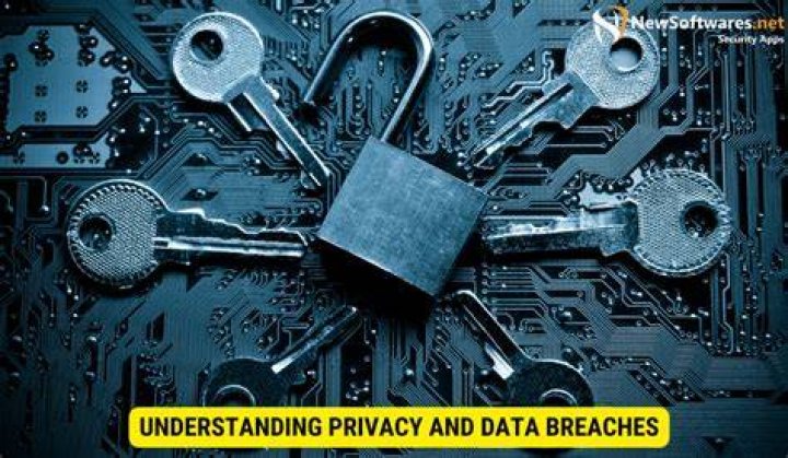 T33nleak: Understanding the Impact and Implications of Online Privacy Breaches
