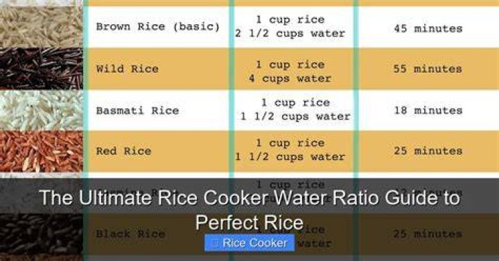 The Perfect Rice Cooker Ratio: How Much Water for Rice?