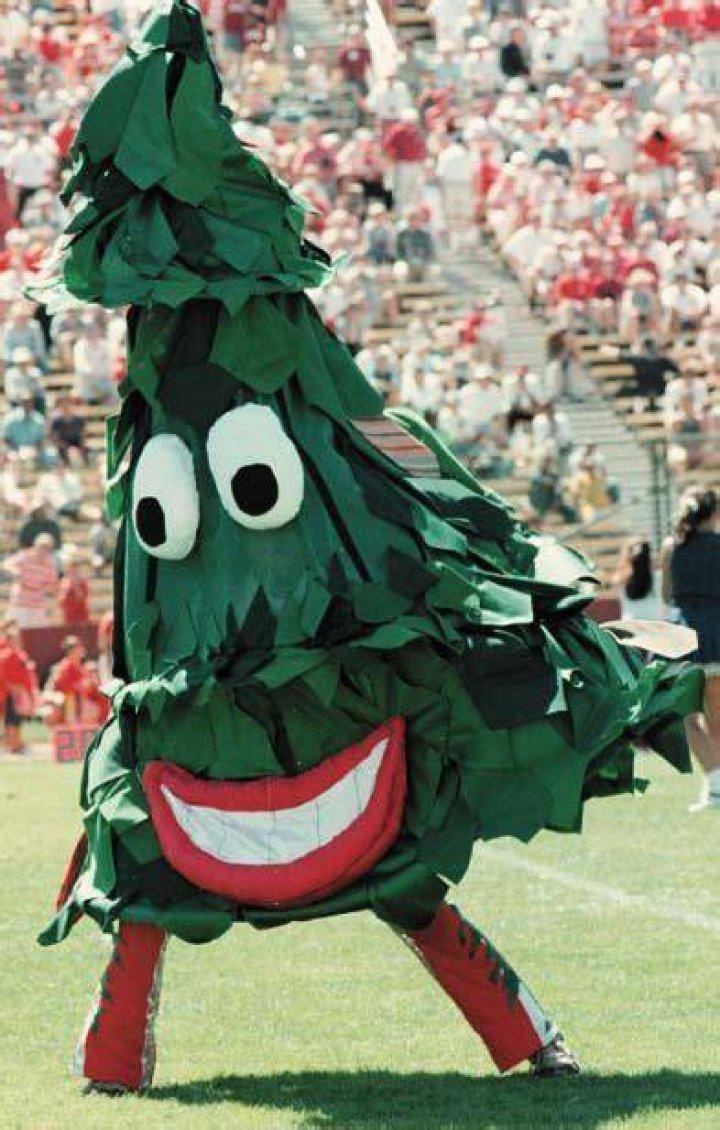 The Stanford Tree: The Iconic Mascot of Stanford University