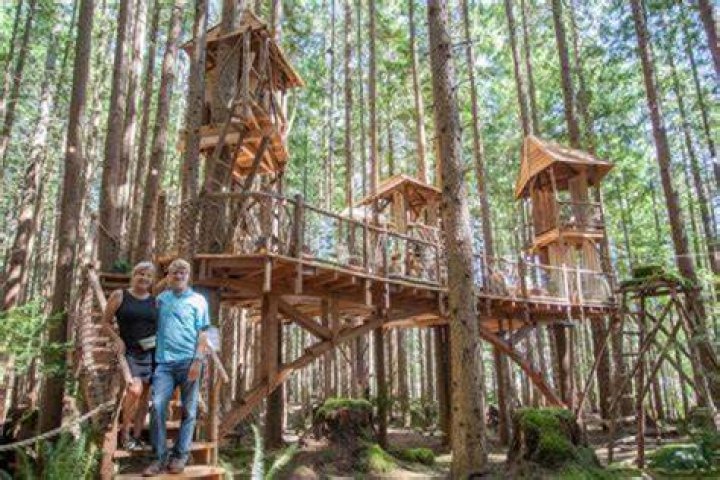 Treehouse Masters Death: The Untold Story Behind the Tragic Event