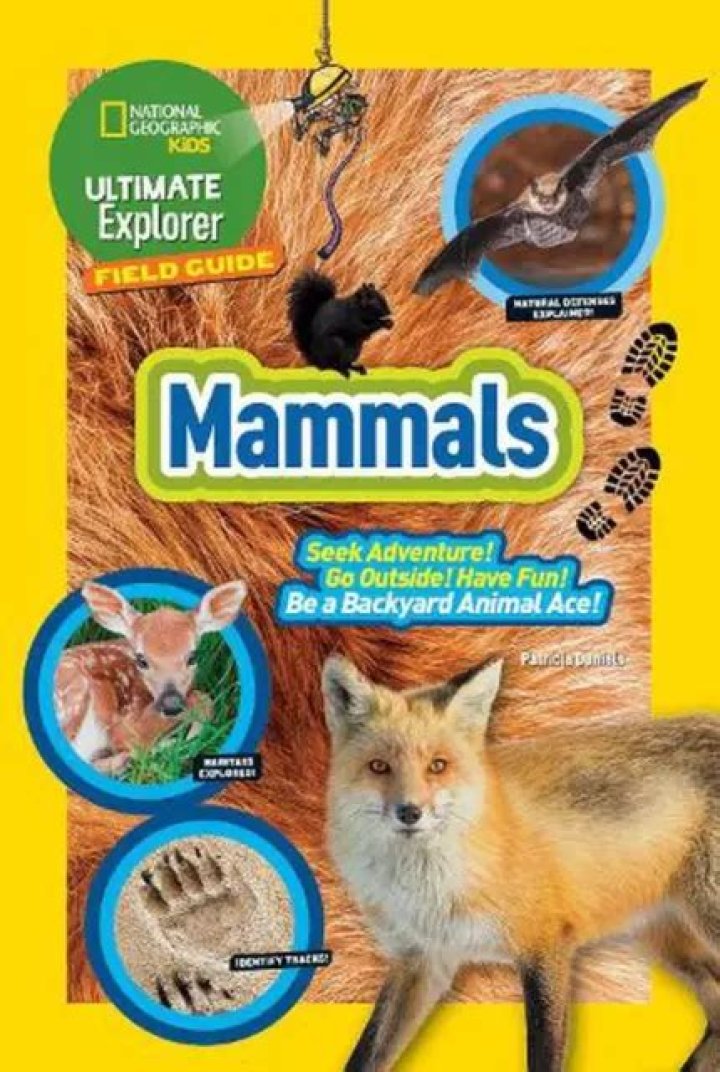 Ultimate Guide to Mammals and Birds: Explore the Fascinating World of Animals