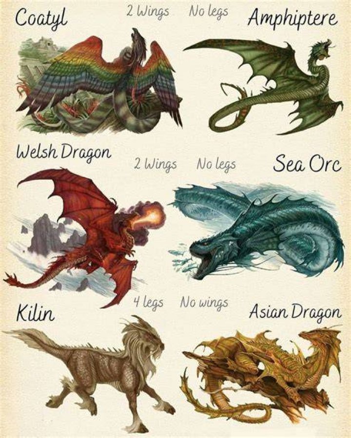 Ultimate Guide to the Names of Dragons: Exploring Mythical Creatures