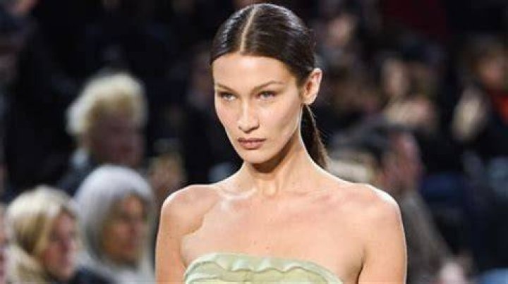 Uncovering Bella Hadid's Roots: A Journey into Her Ethnic Background