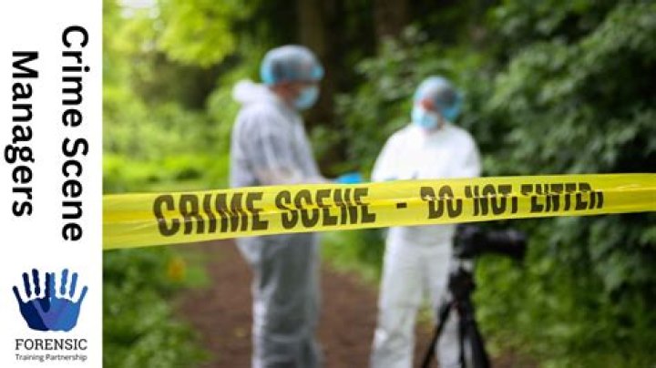 Understanding Crime Scene Photos: The Role of Gypsies in Crime Investigation