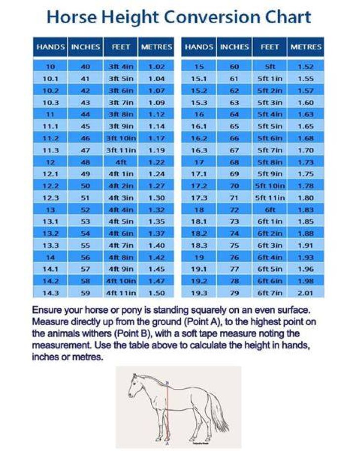 Understanding Rylee Arnold's Height and Weight: A Comprehensive Guide