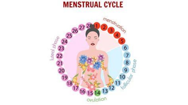 Understanding the 49 PRON Period: A Comprehensive Guide