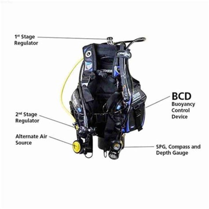 Understanding the Essential Role of Scuba Diving BCD in Underwater Adventures