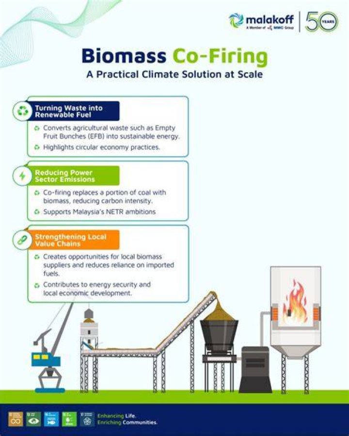 Unlocking the Potential of Co-Firing: A Sustainable Energy Solution