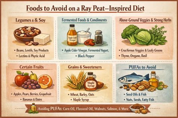 Unlocking the Wisdom of Ray Peat: A Journey into Health and Nutrition