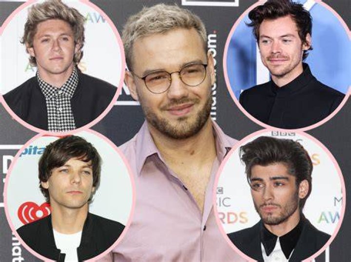 Unraveling the Melodic Rivalry: Who Was the Best Singer in One Direction?