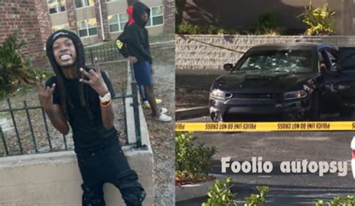 Unraveling the Mystery: The Joolio Foolio Autopsy